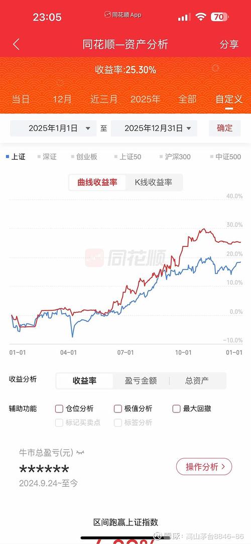 某某股票投资价值分析